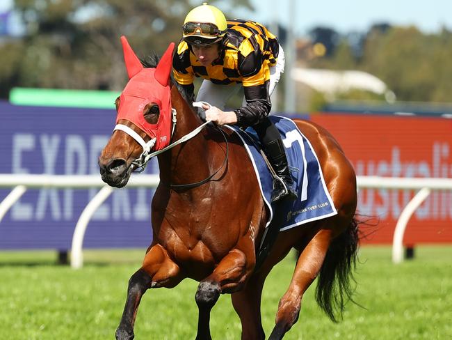 SYDNEY, AUSTRALIA - AUGUST 17: Joliestar is seen in an exhibition gallop after Race 3 TAB Highway Handicap during "Rosebud Day" - Sydney Racing at Rosehill Gardens on August 17, 2024 in Sydney, Australia. (Photo by Jeremy Ng/Getty Images)