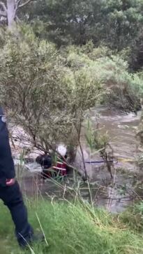 Woman and her dog rescued from river