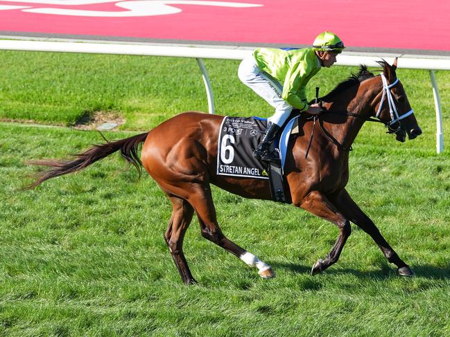 Stretan Angel has the right form credentials to make her presence felt in the Robert Sangster Stakes at Morphettville on Saturday. Photo: Scott Barbour/Getty Images.