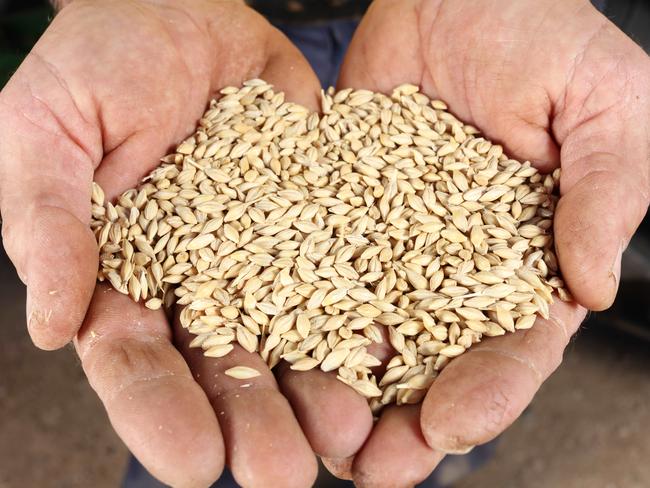 South Australian, Yorke Peninsuala Farmer Bill Moloney on his Arthurton property has about 20 per cent of his cropping program sown to barley. Photographer Emma Brasier