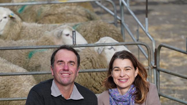 John and Brigita Keiller Cahsmore Park, with their Nudie shedding sheep. Picture: Karla Northcott