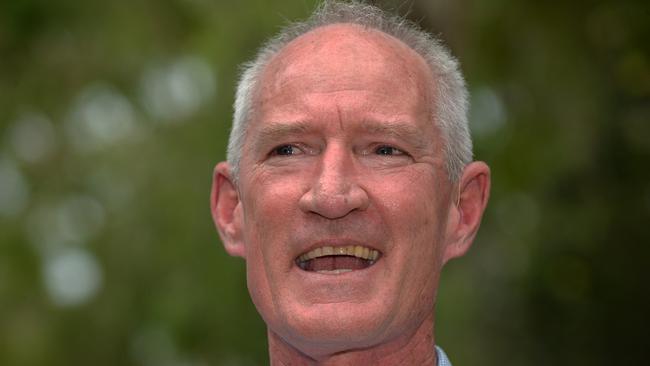 Steve Dickson was the leader of One Nation Queensland has previously served as the Member for Buderim, between 2006 and 2009, and Kawana, between 2009 and 2017.