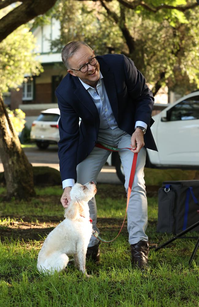 Mr Albanese photographed in Marrickville this morning out of isolation. Picture: Liam Kidston