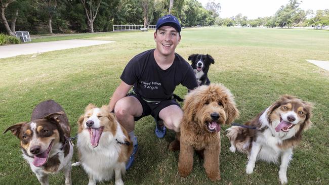 Angus Healy (18) runs his own dog walking business called Happy Paws by Angus. It has been running since Angus was in Year 7 at school.