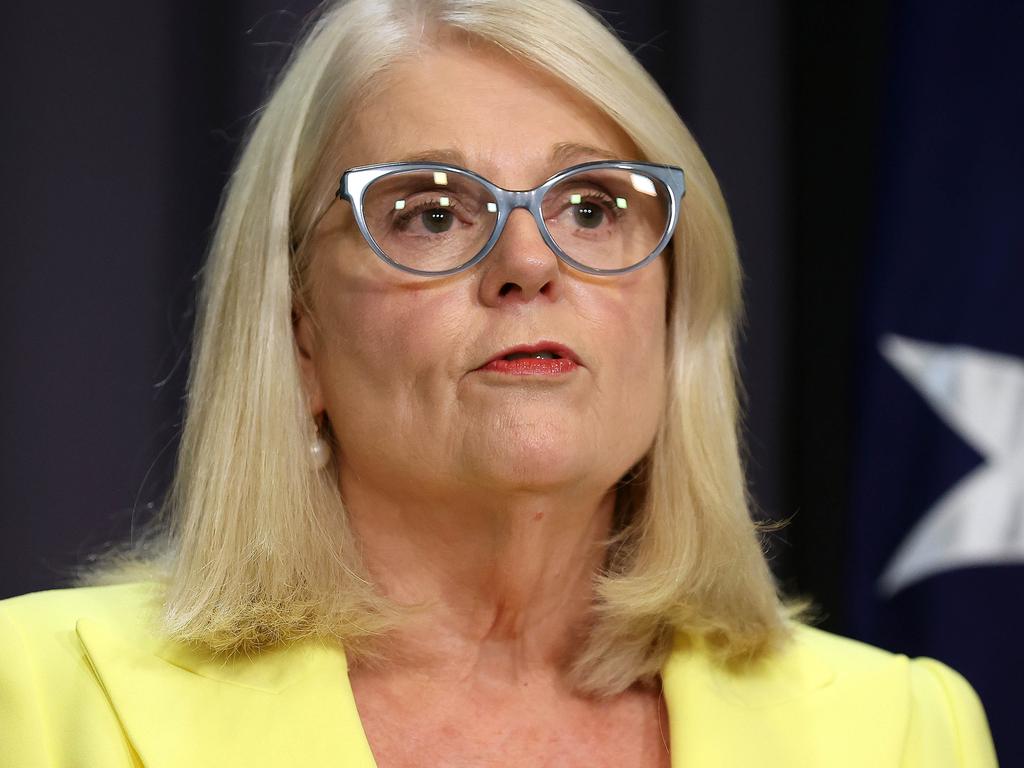 Home Affairs Minister Karen Andrews said a Labor government would mean people smugglers were ‘back in business’. Picture: NCA NewsWire / Gary Ramage