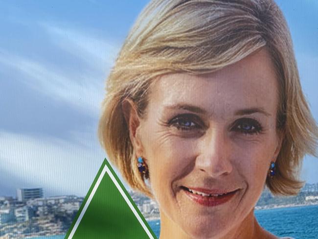 The AEC are investigating if these Zali Steggall signs breach the Commonwealth Electoral Act.