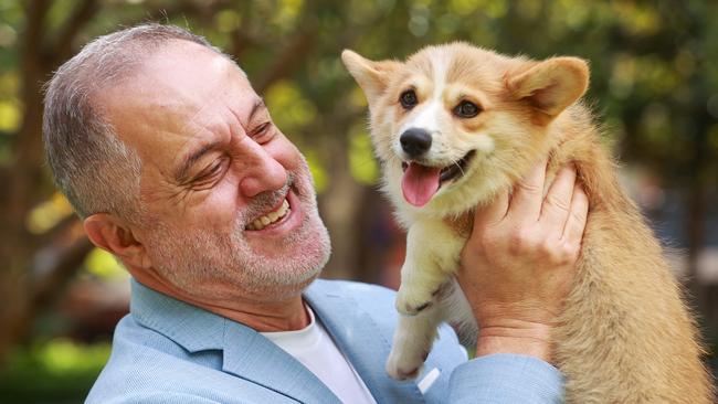 Dr Rob Zammit with a 14-week-old Pembroke Welsh Corgie. Picture: Justin Lloyd.