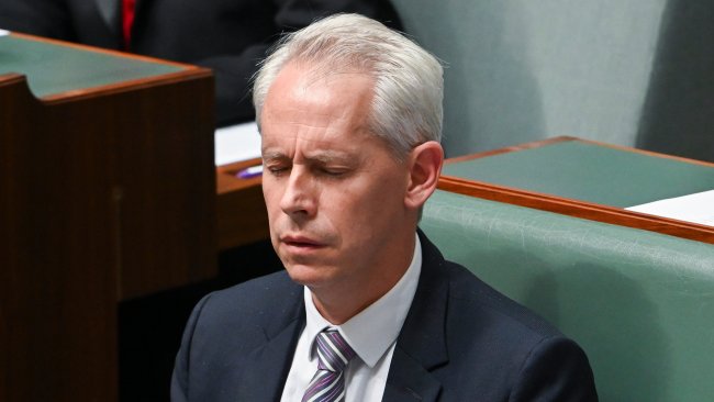 Immigration Minister Giles eviscerated over visa scandals in Question ...