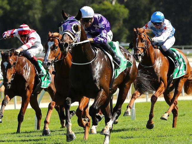 GOSFORD, AUSTRALIA - MAY 06: Sam Clipperton riding Chrysaor   wins Race 1 Thymely Food Co Handicap during "Gosford Gold Cup" - Sydney Racing at Gosford Racecourse on May 06, 2023 in Gosford, Australia. (Photo by Jeremy Ng/Getty Images)