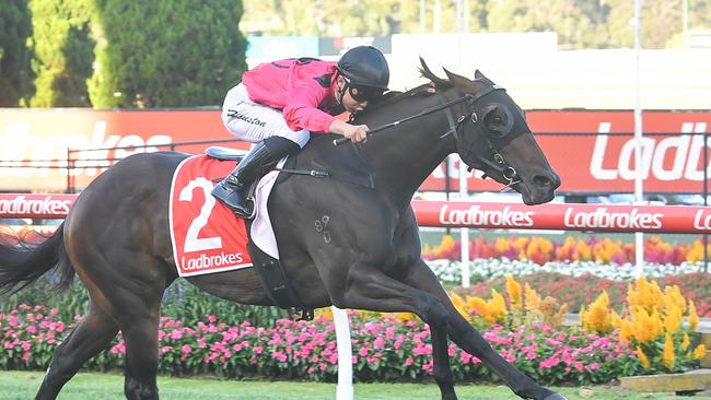 Celestial Storm is a winner at The Valley. Picture: Pat Scala/Racing Photos via Getty Images