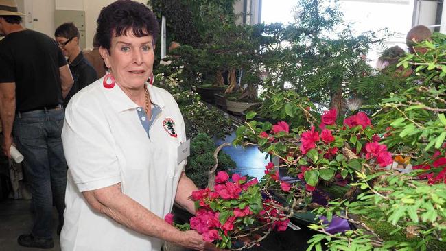 Walkerston resident and secretary of the Mackay Bonsai Society Violet Walsh with one of her 12 entries into the bonsai section of the Mackay Show 2019. Picture: Marty Strecker Photography