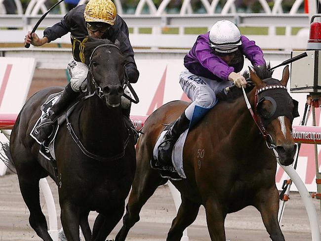 Excess Knowledge (left) narrowly clinches the final spot in the Melbourne Cup with victory in the Lexus Stakes. Picture: Wayne Ludbey