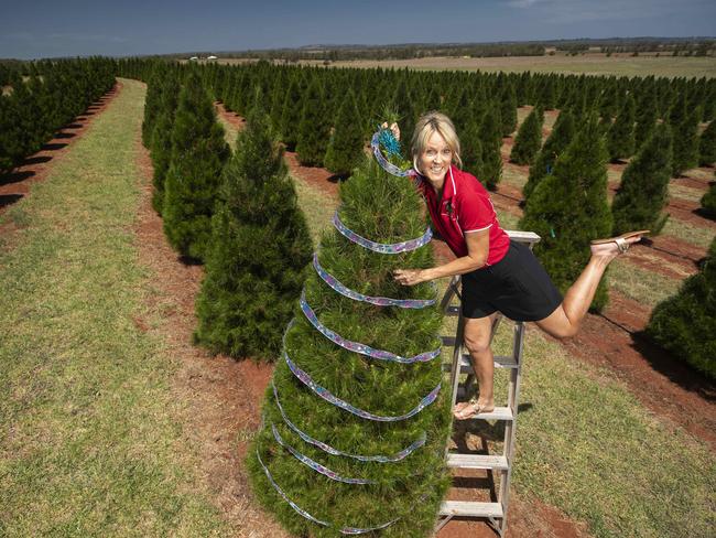 Debbie Bunker from Chrissy Trees 4 U on her Christmas tree farm at Kumbia. Picture: Lachie Millard