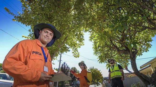 PIRSA team leader is Andrew Henderson and his team in Prospect, checking and spraying fruit. Picture: Roy VanDerVegt.