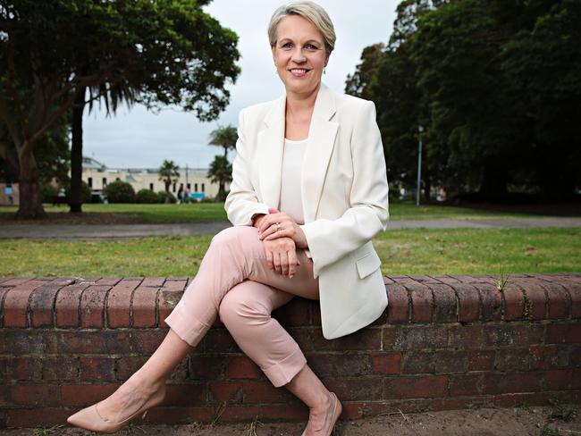 Tanya Plibersek at Gladstone Park in Balmain on the 27th of January. Picture: Adam Yip