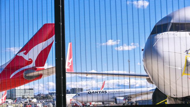 Grounded Qantas planes at Sydney. Picture: Flavio Brancaleone