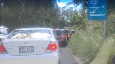 A line of vehicles at Helensvale tip.