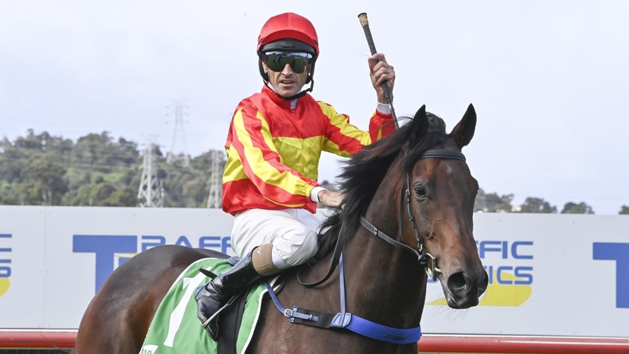 Kembla Grange, Moree horse racing tips for Tuesday, June 4, 2024 | Daily  Telegraph