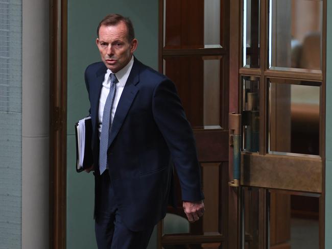 Mr Abbott indicated his criticisms of the Turnbull government would have an end-date.