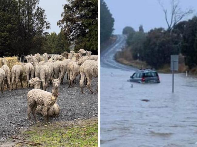 HEAVY RAIN: Southern Highlands July 2022