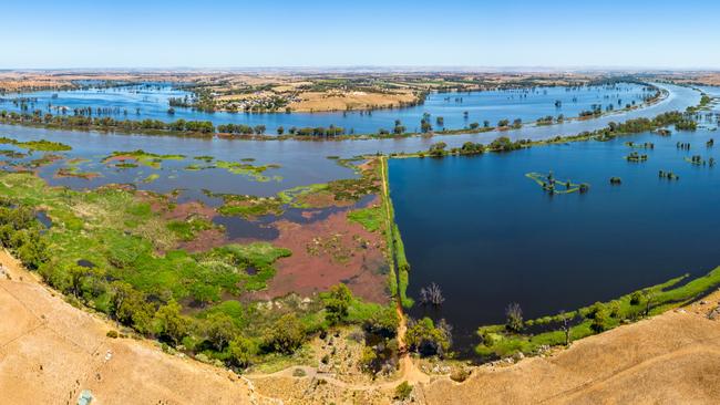 A flooded Murray River cuts through the Paiwalla wetlands east of Adelaide. Picture: Steve Adcock / Airborne Photography