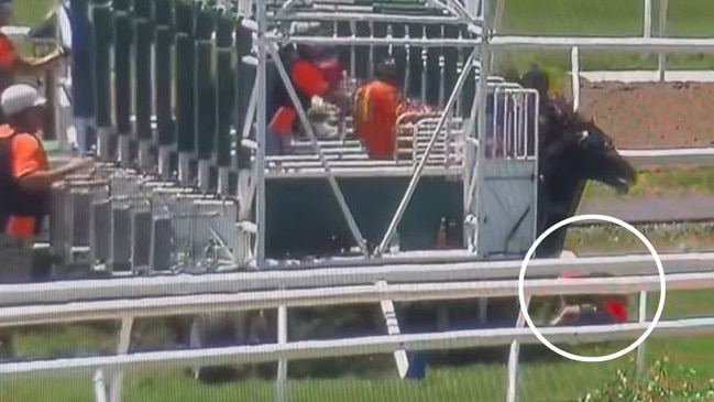 The barrier attendant (circled) as the field jumps for the trial. Picture: Facebook