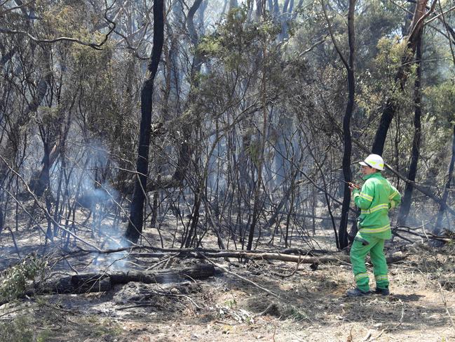 Apollo Bay fires evacuees at Apollo Bay RefugeFire management back burnPicture: Mark Wilson