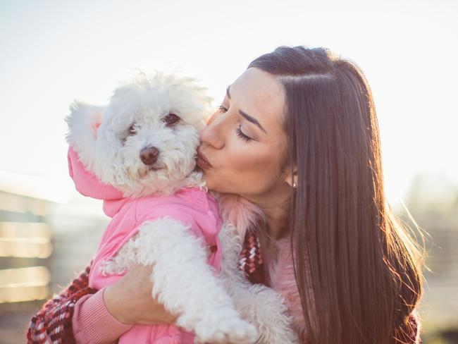 Girl having fun with a dog in the park on a sunny autumn day,