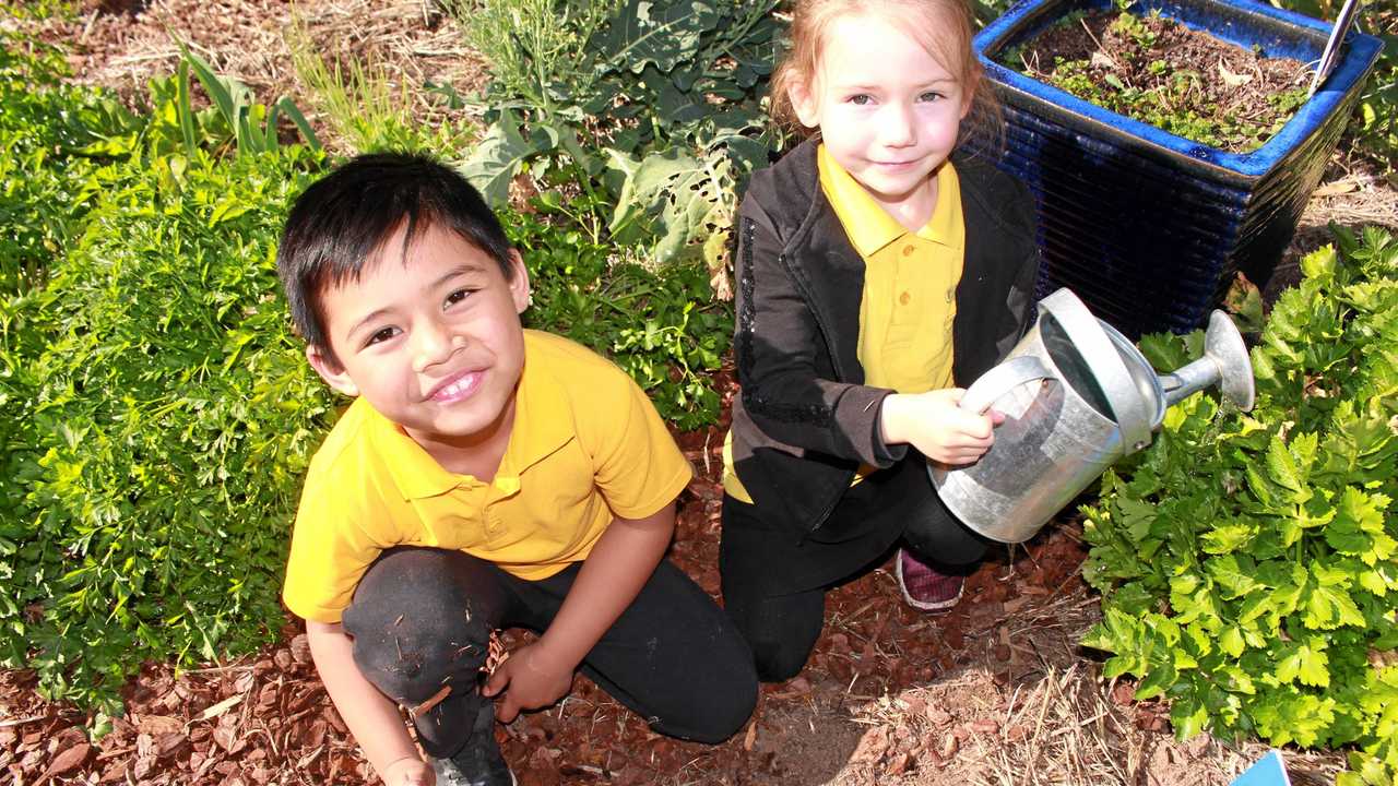 WAY TO GROW: Cute kids share big secret to successful garden | The ...