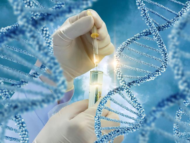 The Testing of DNA molecules concept design.