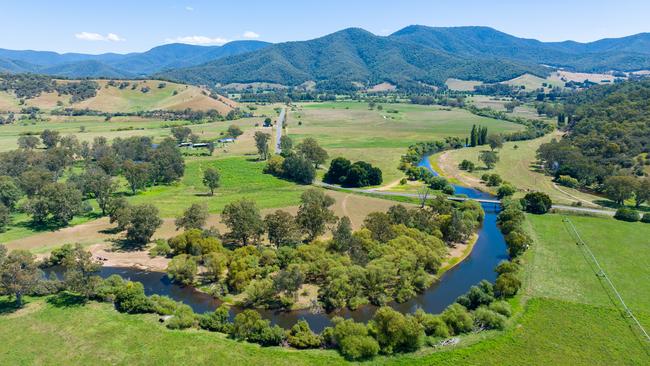 Mitta Mitta River crown land water frontage. Picture: Simon Dallinger