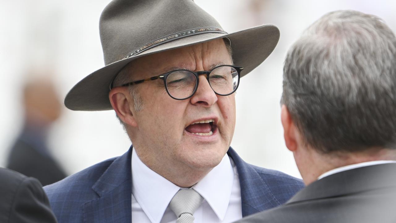 Prime Minister Anthony Albanese. Picture: NewsWire / Martin Ollman