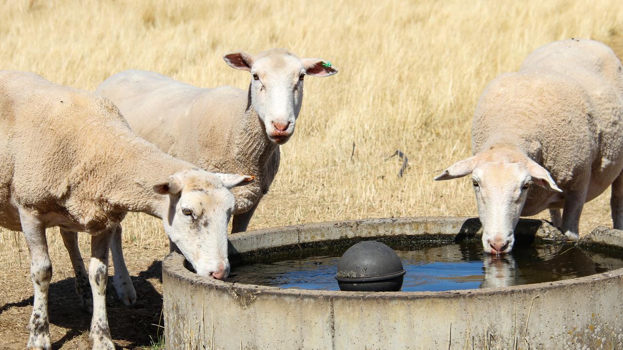 Farmers brace for hot spell