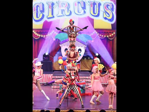 Circus Wonderland