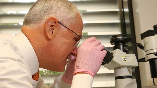 Prime Minister Malcolm Turnbull will today announce a subsidy for the cost of Ibrutinib. Picture: Lyndon Mechielsen/News Corp