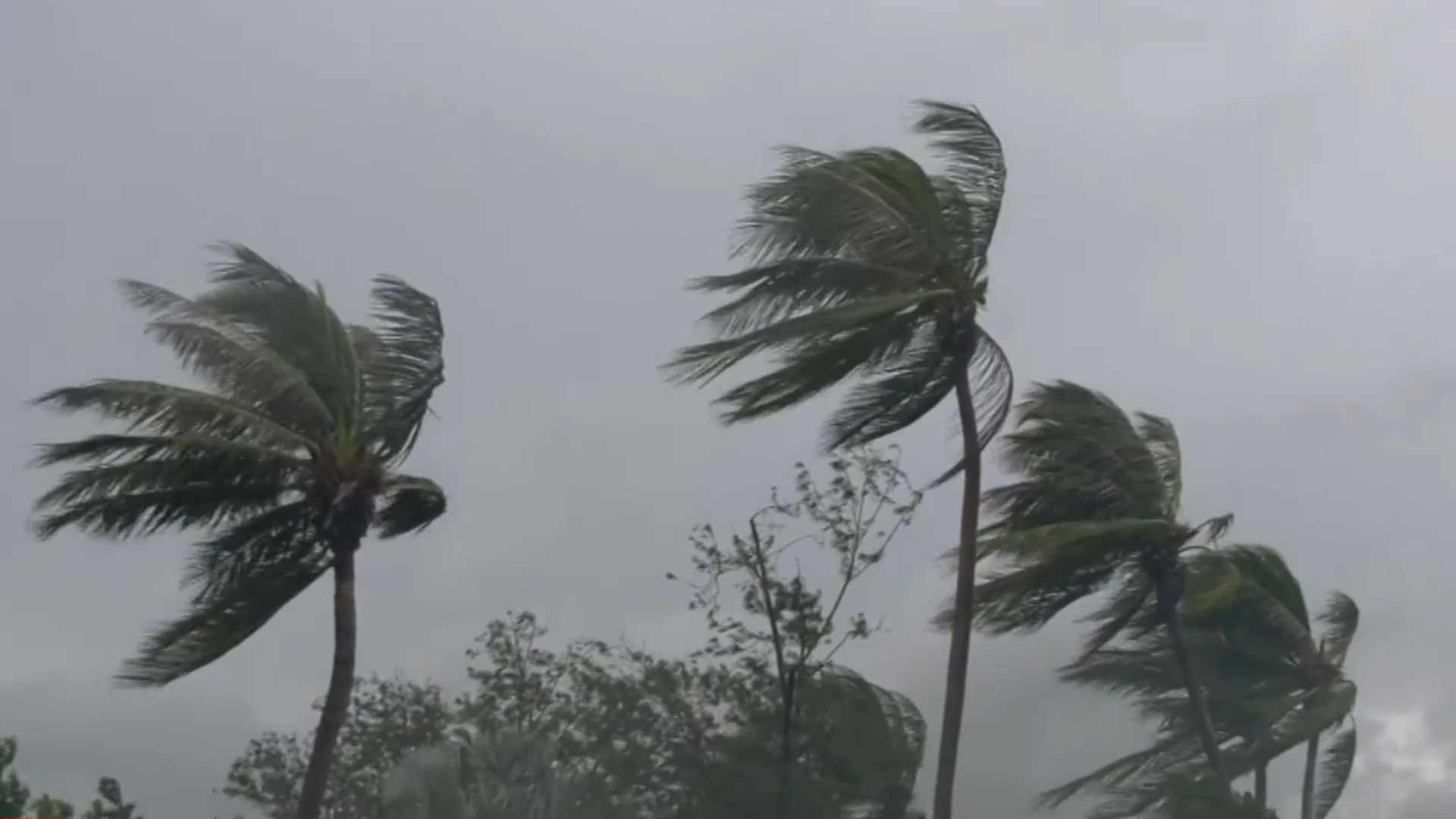 Tropical cyclone watch issued for Western Australia