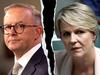 Where’s Tanya? Why Albo has benched popular Plibersek