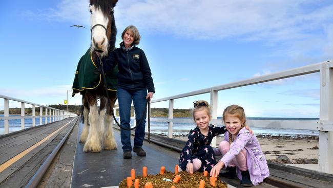 Children aged up to 13, including Lexi, 4, and Harriet, 5, can ride on the Victor Harbor horse-drawn tram for free this month, general manger Meg Whibley says. Picture: Tricia Watkinson