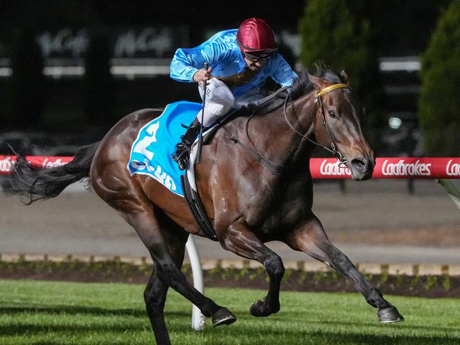 Apache Song's three straight wins at The Valley have earned the mare a crack at Group 2 level in the Australian Stakes.  Picture: Racing Photos via Getty Images.