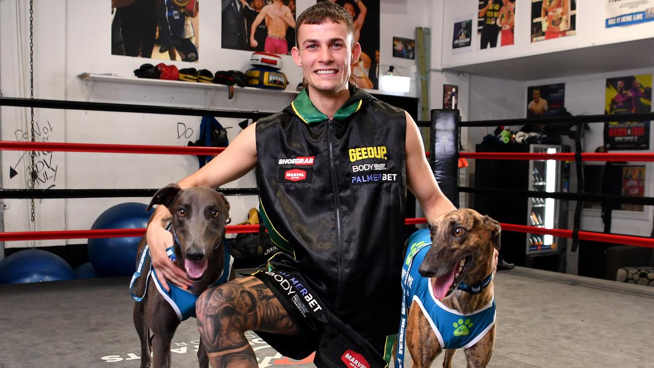 Boxing prodigy Harry Garside has joined a host of big name athletes as Greyhound Ambassadors. Picture: Gregg Porteous