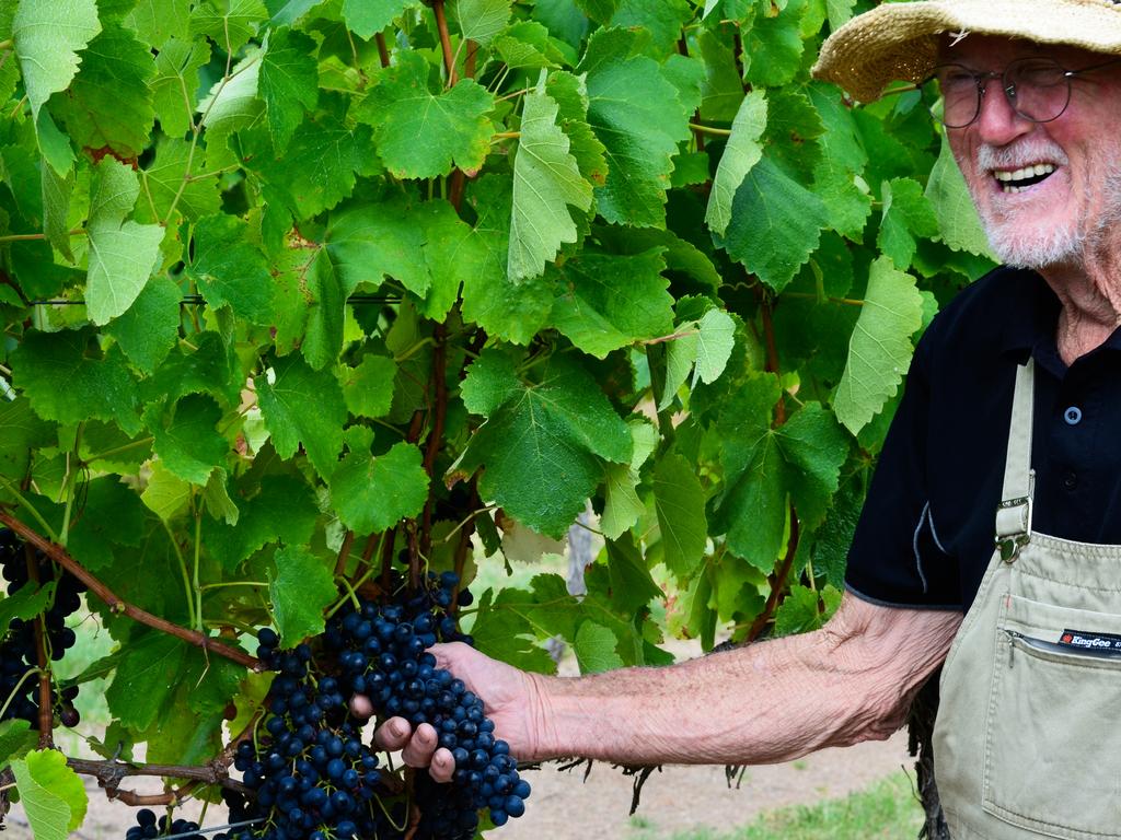 Granite Belt wine connoisseur Adrian Tobin takes on the 'old world' philosophy when it comes to growing vines.