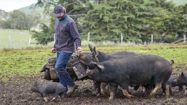 Jono and Nat use a regenerative approach to land and animal management.