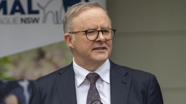 Prime Minister, Anthony Albanese has been forced to answer questions over what Labor knew ahead of the Higgins claims being made public. Picture: NCA NewsWire / Simon Bullard