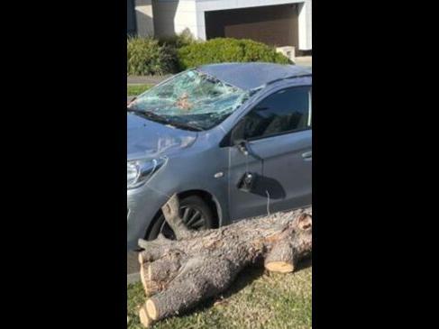 Wild winds lash Geelong region 