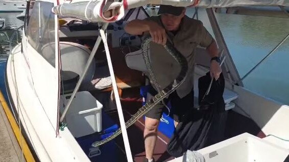 A couple was shocked to find a snake had snuck onto their boat at Redland Bay. Picture: Redland's Snake Catcher