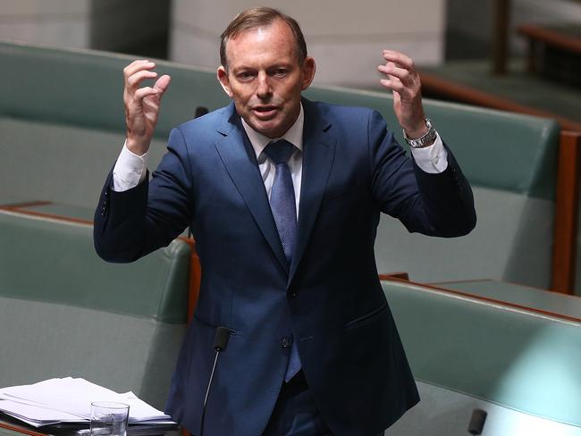 Tony Abbott spend most of Thursday in the chamber arguing passionately during the debate on the Marriage Amendment Bill. Picture: Kym Smith