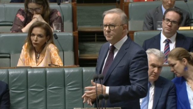 Anthony Albanese becomes emotional speaking about domestic violence