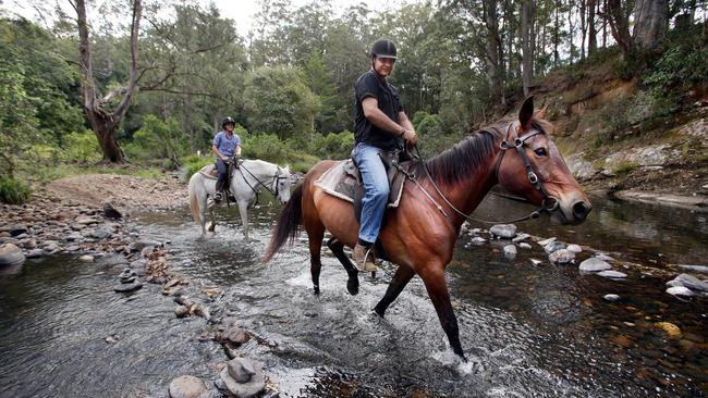 On the trail at Numinbah Valley Trail Rides. Photo: Luke Marsden