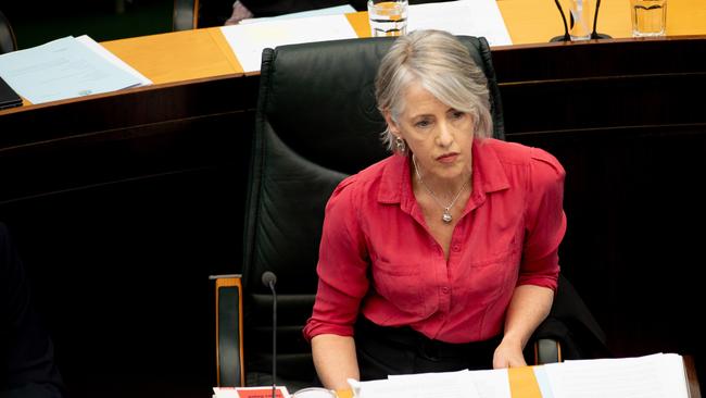 Leader of the Tasmanian Greens, Dr Rosalie Woodruff in Parliament on Tuesday 19th November 2024. Picture: Linda Higginson