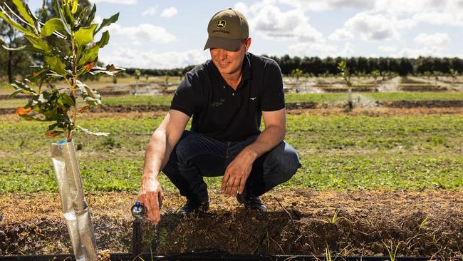 Henrik Christiansen irrigates 120,000 macadamia trees on 340ha of land in South Yaamba. He said the impact of a new water pricing structure was significant.